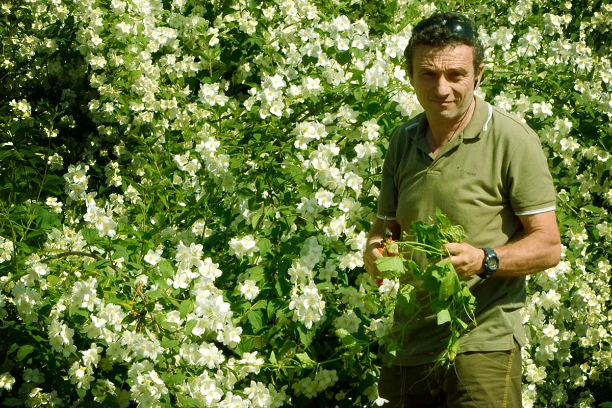 I segreti del Parco Romantico