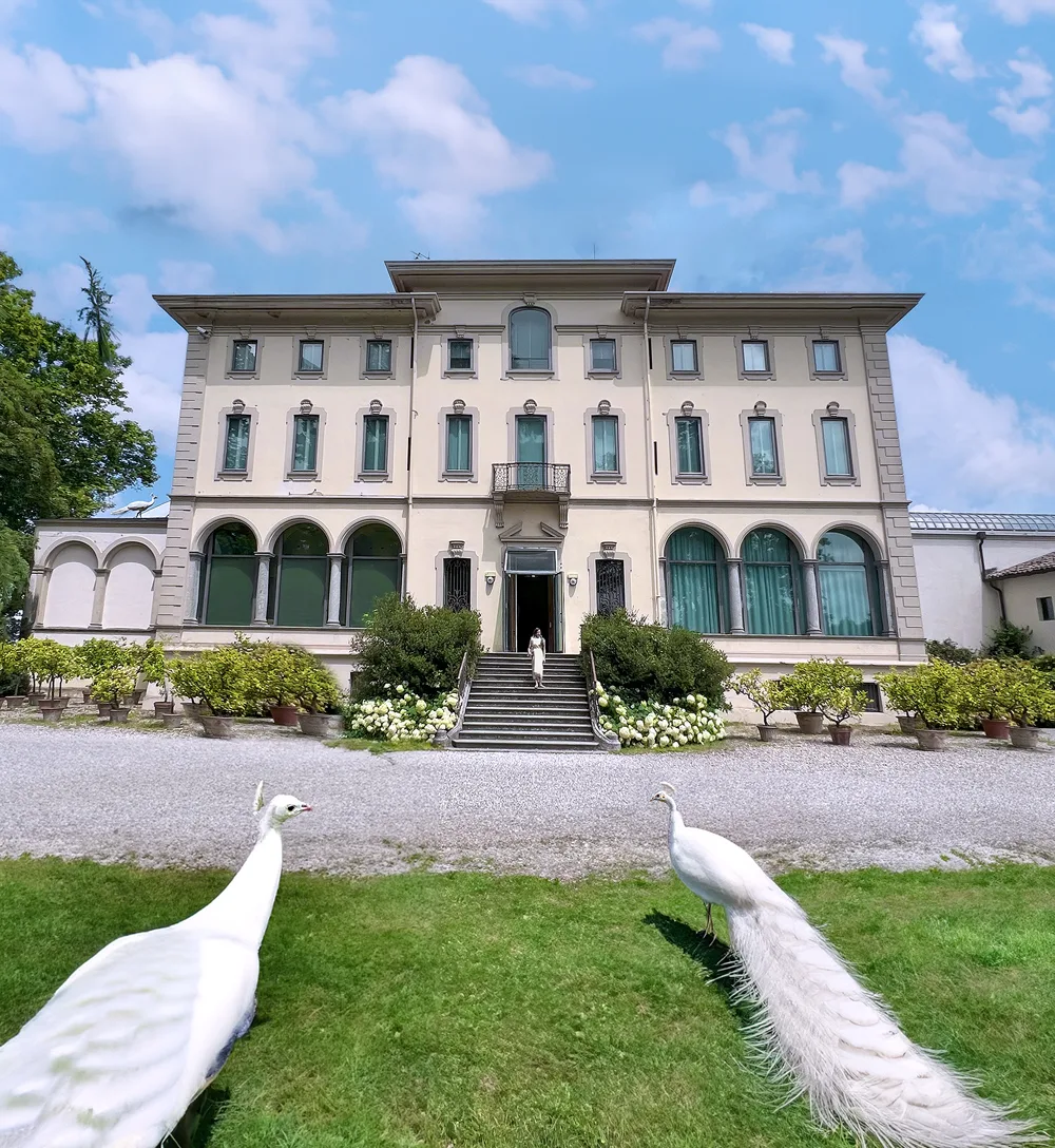 la Villa dei Capolavori con i suoi pavoni bianchi. foto di Kreativehouse