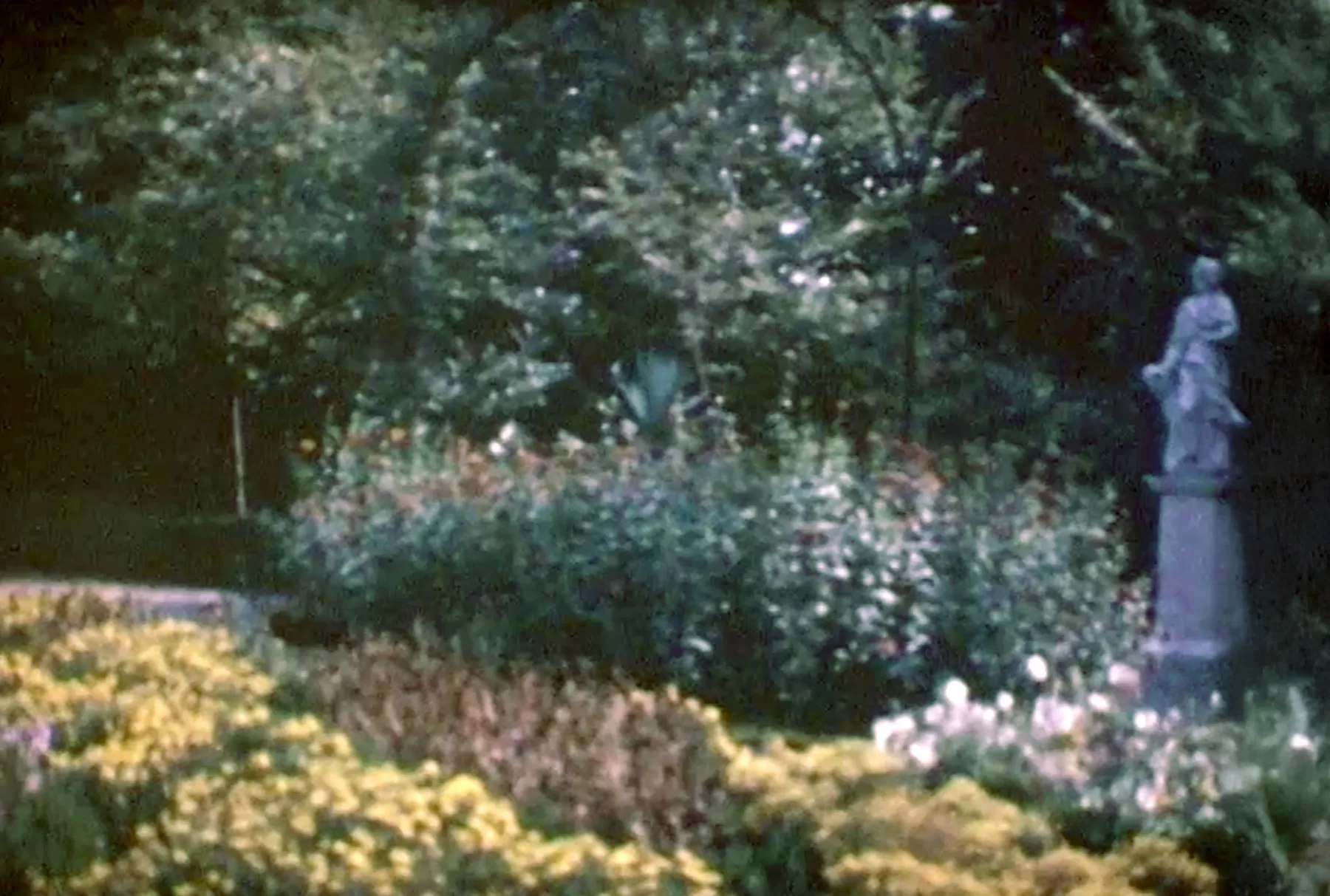 Proprio in questo momento, il Parco Romantico sta cambiando
